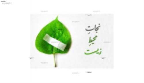 بررسی غلظت فلزات سنگین کادمیوم، مس، منگنز، نیکل، سرب و روی( در رسوبات رودخانه زاینده رود)